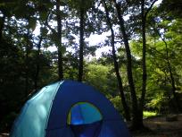 DSCN4616.JPG