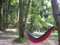 DSCN4617.JPG