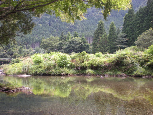 DSCN2243.JPG