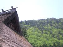 DSCN6126.JPG