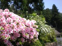 DSCN6128.JPG