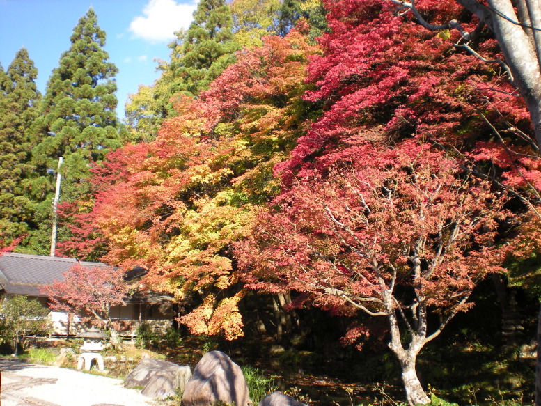 南禅寺庭園4.JPG