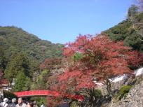 DSCN2675.JPG