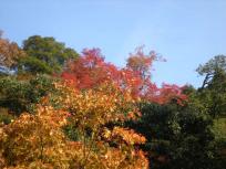 DSCN2677.JPG