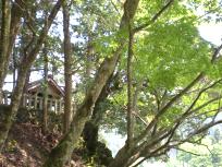 DSCN6130.JPG