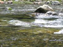 DSCN6133.JPG