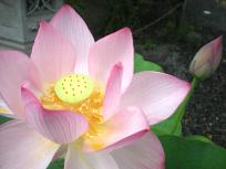 DSCN4198.JPG