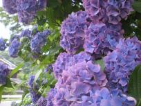 DSCN4202.JPG