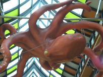 DSCN0953.JPG