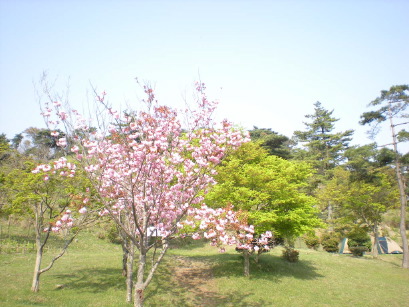 DSCN1313.JPG