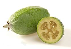 250px-Feijoa_HortResearch.jpg