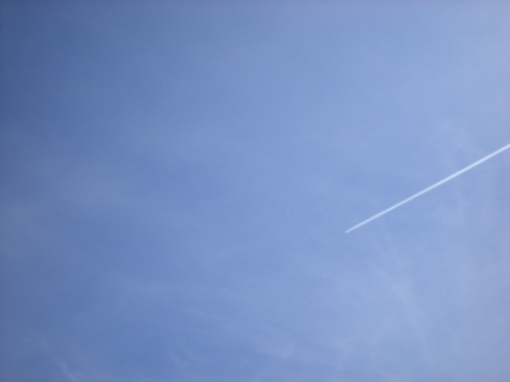 DSCN1342.JPG