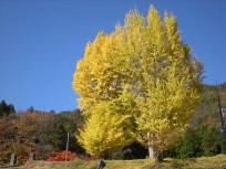 DSCN5058.JPG