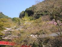 DSCN1217.JPG