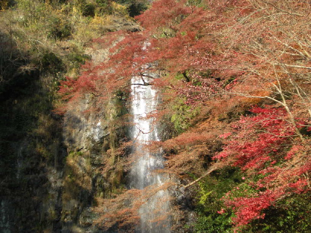 箕面瀧.JPG