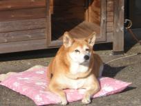 DSCN5061.JPG