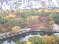 大阪城6.JPG