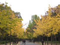 大阪城1.JPG
