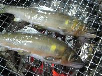 DSCN4736.JPG