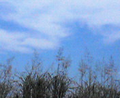 車の中からぁ２