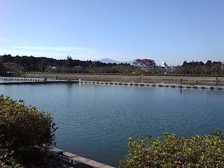 東山湖湖面