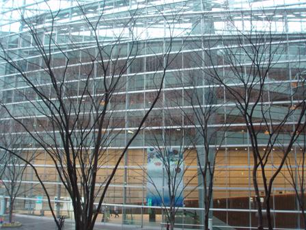 国際フォーラム