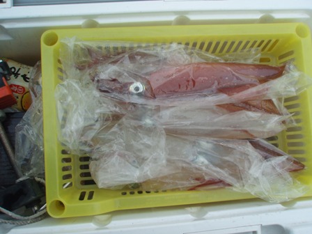 本日のクーラー