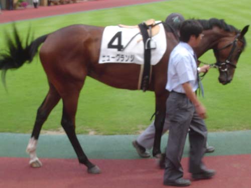 グランジ新潟　05.8.15