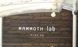 地球博　マンモス