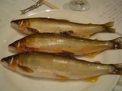 名残の鮎とポルチーニ2 08.10.3