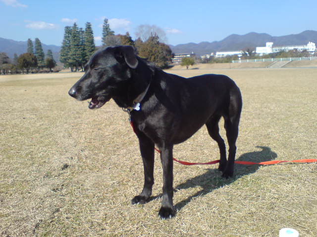 20110222f.jpg