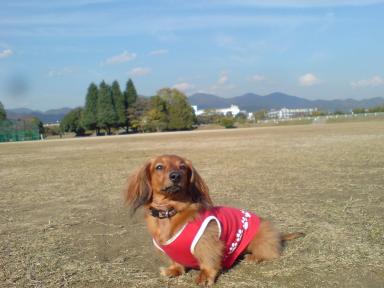 20091127a.jpg