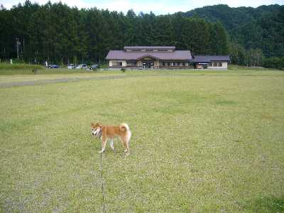 お店の前の芝生広場