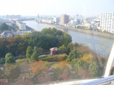 観覧車からの景色