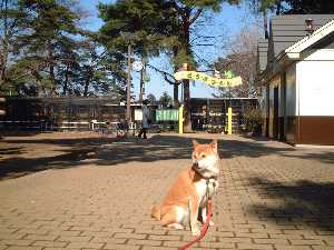 小動物園