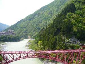 トロッコ電車からの景色