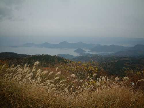 達磨山からの眺め