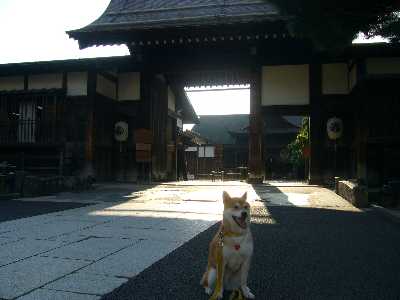 高山陣屋