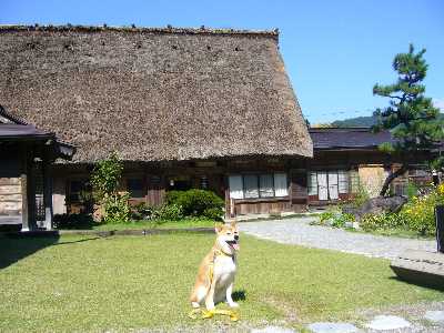 白川郷神田家