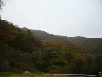 明智平からの紅葉