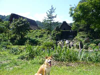 白川郷民家園