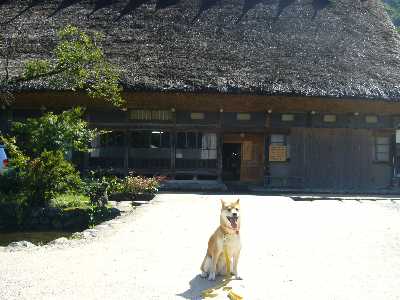 白川郷民家園の中