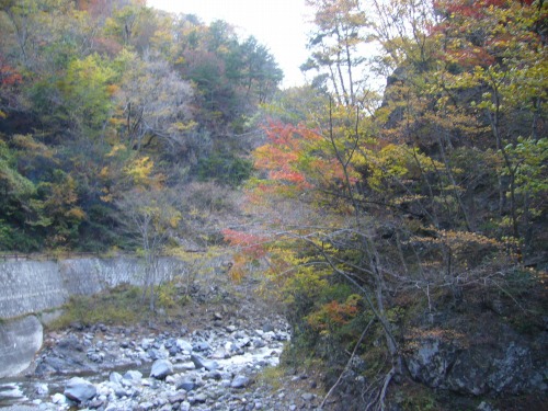 中津峡の紅葉