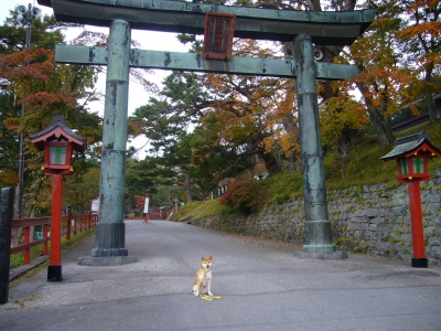 二荒山神社