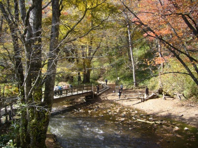 湯滝の遊歩道