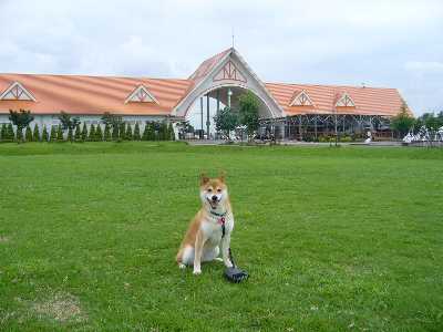 道の駅アグリパーク