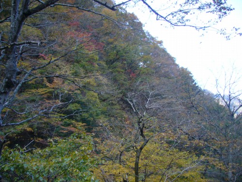 中津峡の帰り