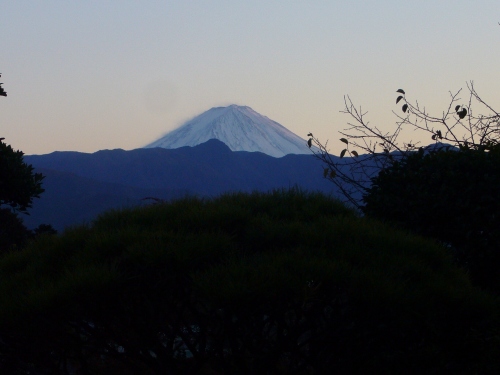 はやぶさ温泉からの富士山