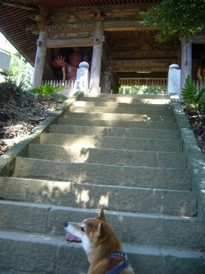 階段の上の山門