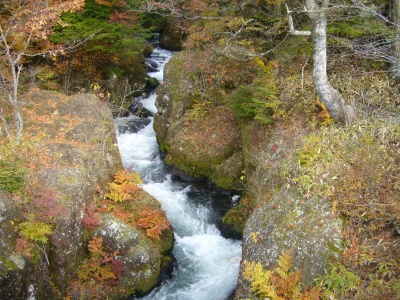 橋の上流